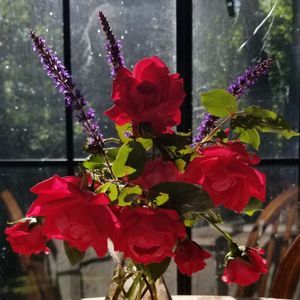 Meet your Posher, Challandore